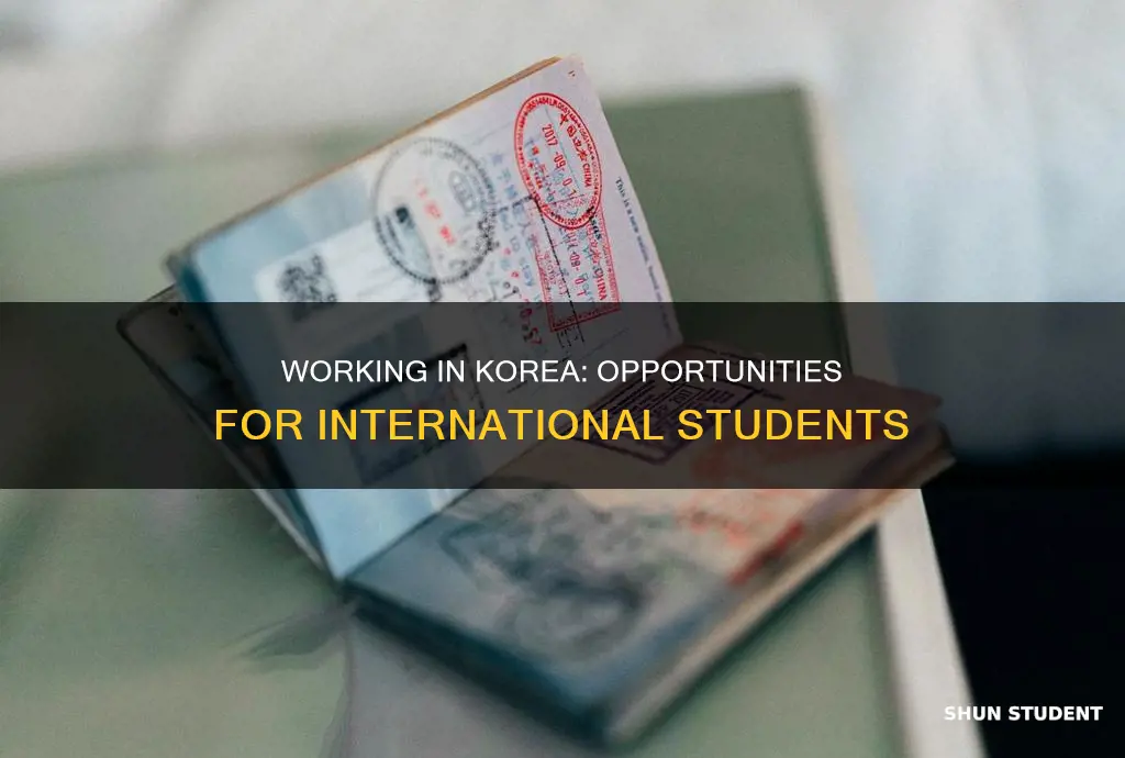 can international students work in korea