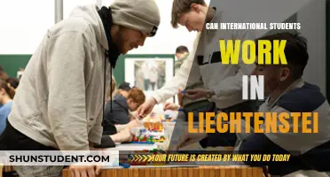 Working in Liechtenstein: Options for International Students