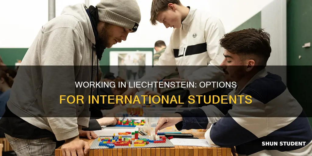 can international students work in liechtenstein