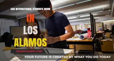 Working in LA: International Student Opportunities