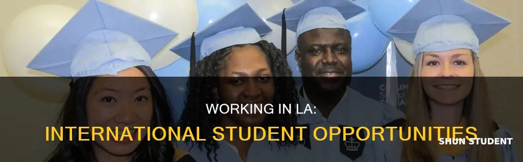 can international students work in los alamos