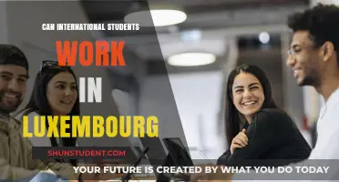 Working in Luxembourg: International Student Opportunities