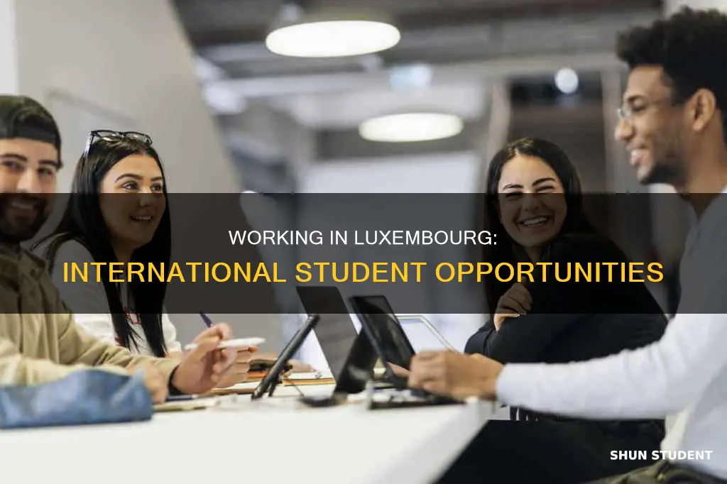 can international students work in luxembourg