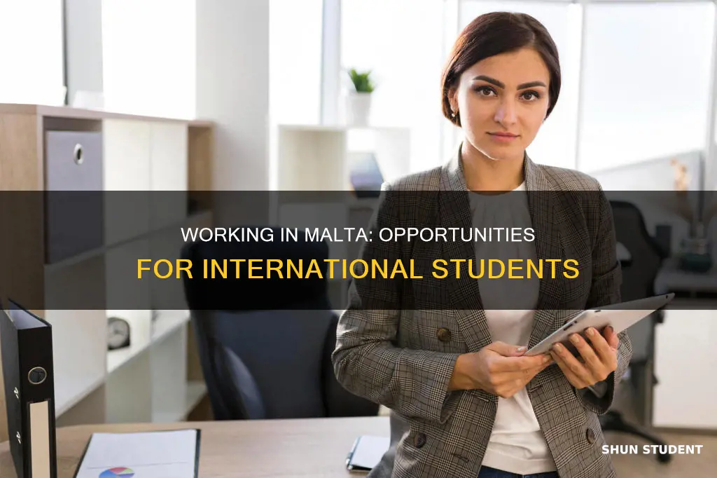 can international students work in malta
