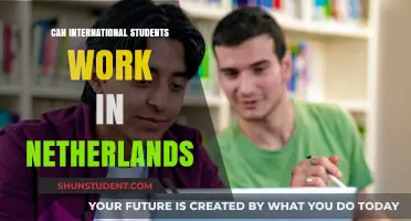 Work in the Netherlands: International Student Guide