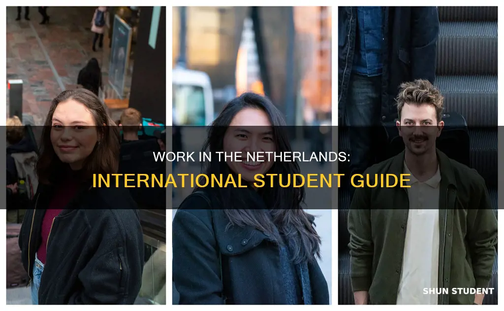 can international students work in netherlands