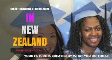 Working in New Zealand as an International Student