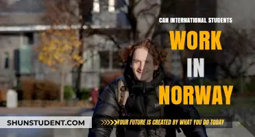 Working in Norway: Opportunities for International Students
