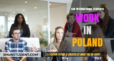 Working in Poland as an International Student