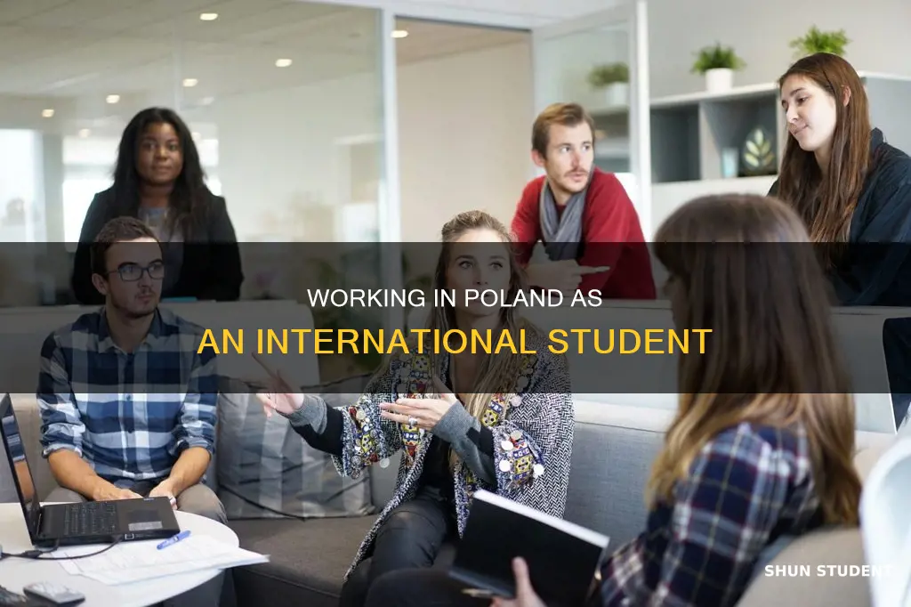 can international students work in poland