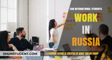 Working in Russia: Opportunities for International Students