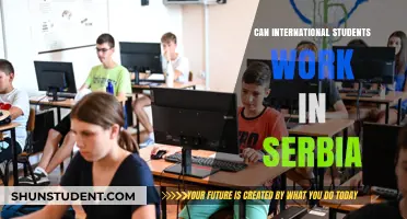 Working in Serbia: Opportunities for International Students