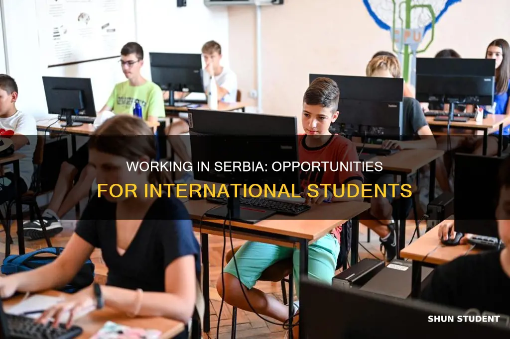can international students work in serbia