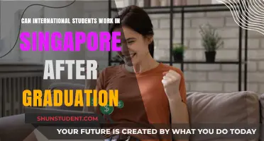 Post-Graduation: International Students Working in Singapore