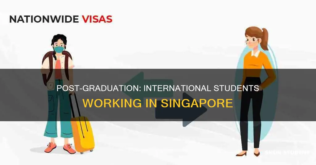 can international students work in singapore after graduation