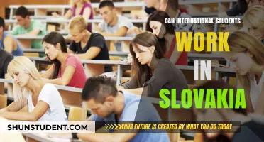 Working in Slovakia: Opportunities for International Students