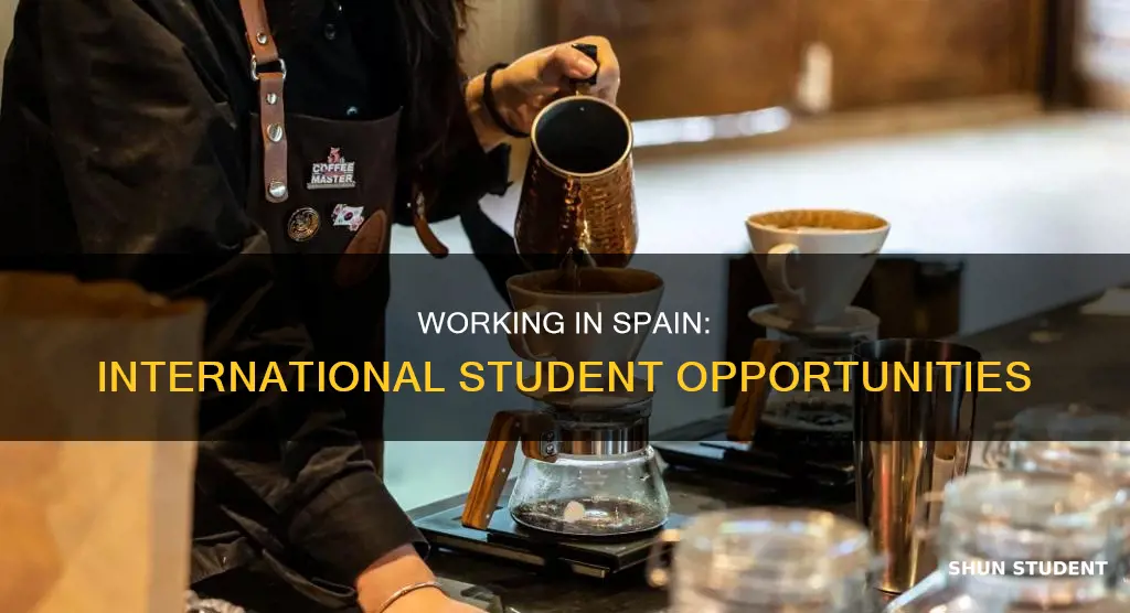 can international students work in spain