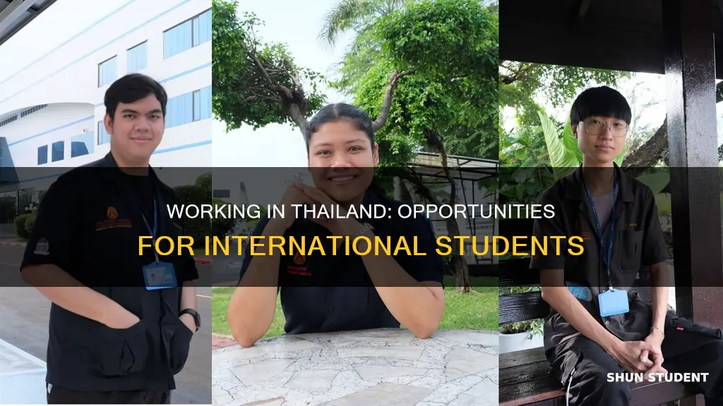 can international students work in thailand