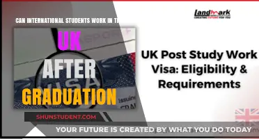 Post-Study Work Visa Options for International Students in the UK
