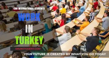 Working in Turkey: International Student Opportunities
