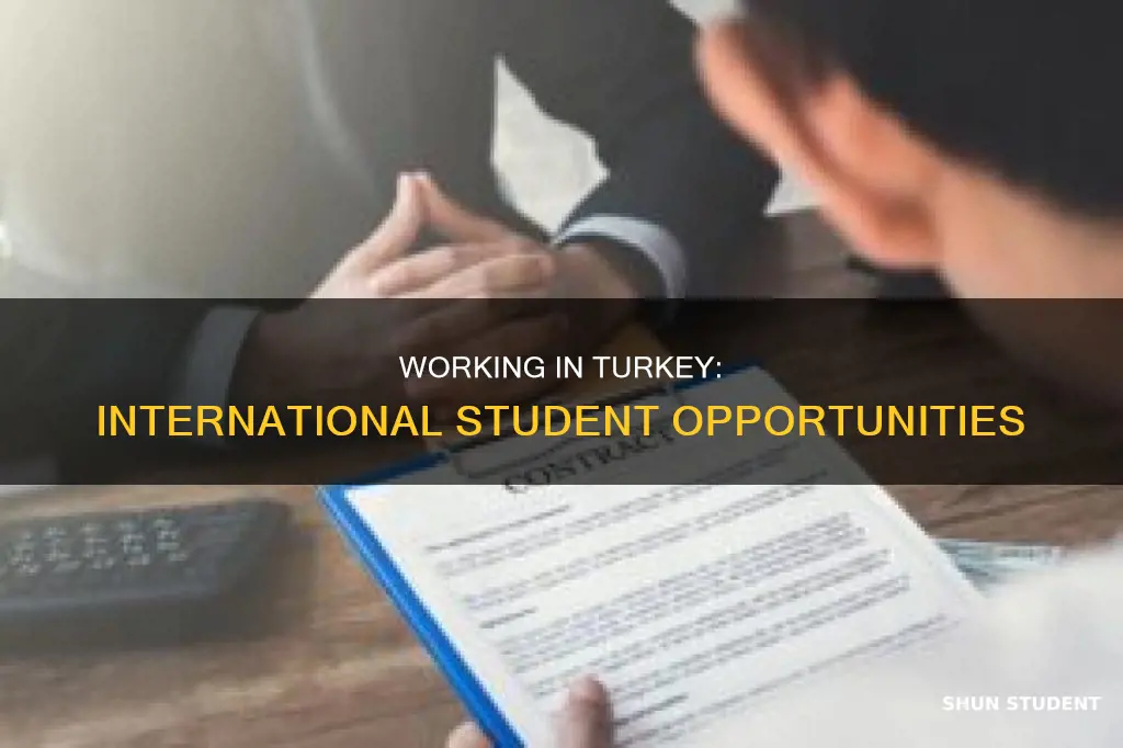 can international students work in turkey