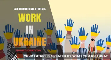 Work in Ukraine: International Students' Guide