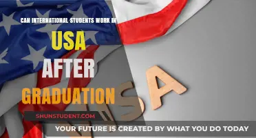 Working in the USA: Post-Grad Options for International Students