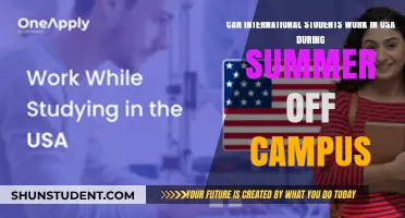 Working Off-Campus: International Students' USA Summer Jobs