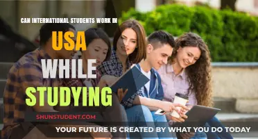 Working While Studying: Options for International Students in the USA