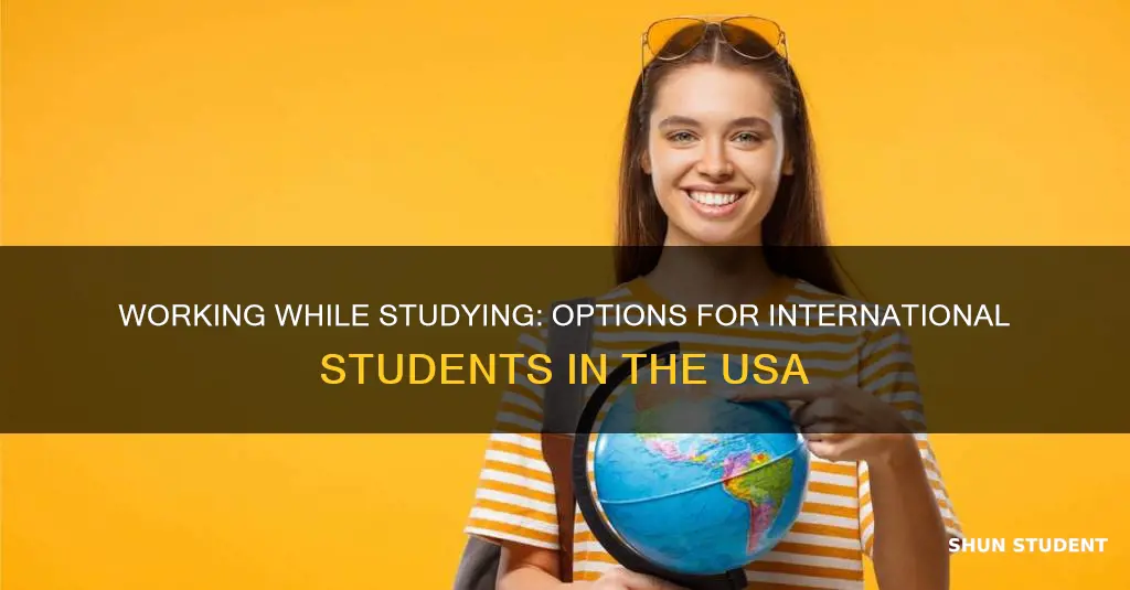 can international students work in usa while studying