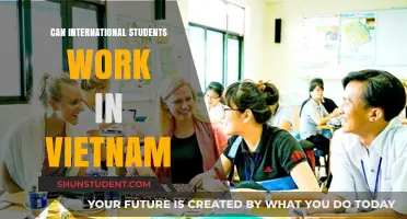 Working in Vietnam: Opportunities for International Students