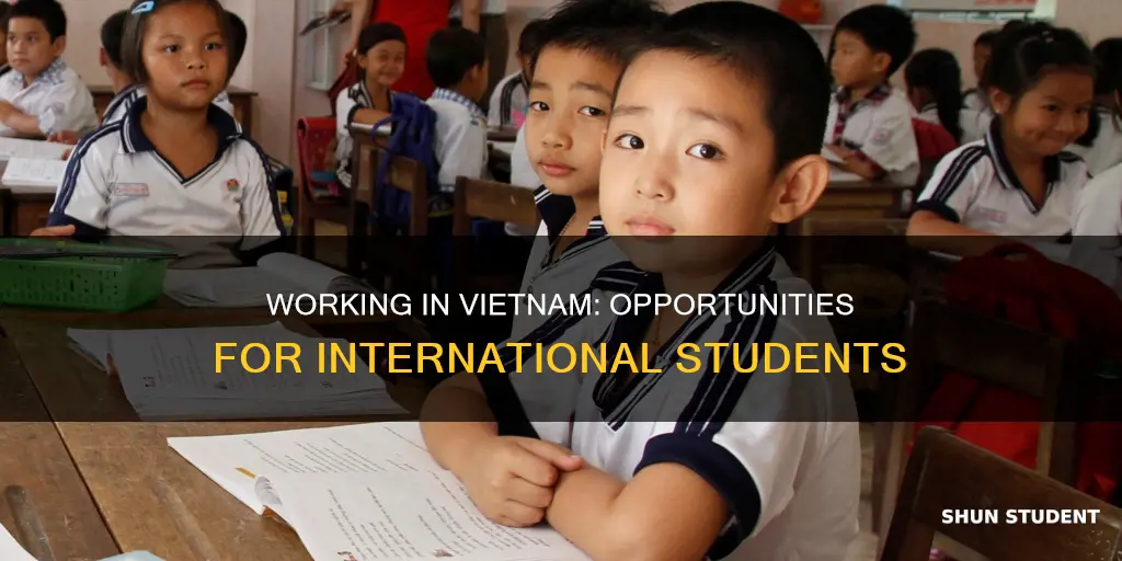 can international students work in vietnam