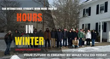 Winter Work Hours: International Student Rights Explained