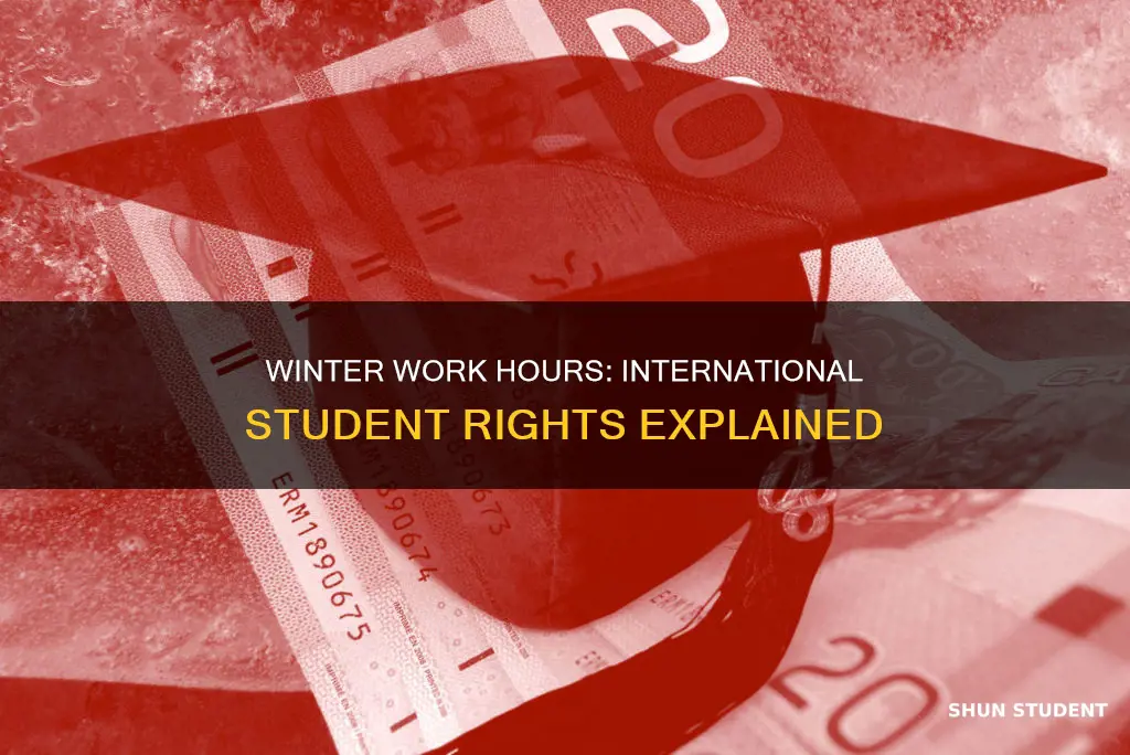 can international students work more than 40 hours in winter