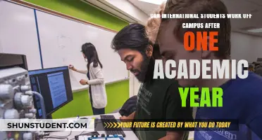 International Students: Off-Campus Work Options After One Year