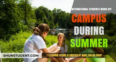 Working Off-Campus: International Students' Summer Job Options