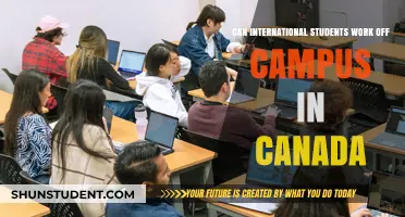 International Students: Working Off-Campus in Canada