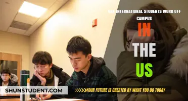 International Students: Off-Campus Work Opportunities in the US