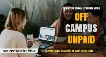 International Students: Unpaid Off-Campus Work Rights