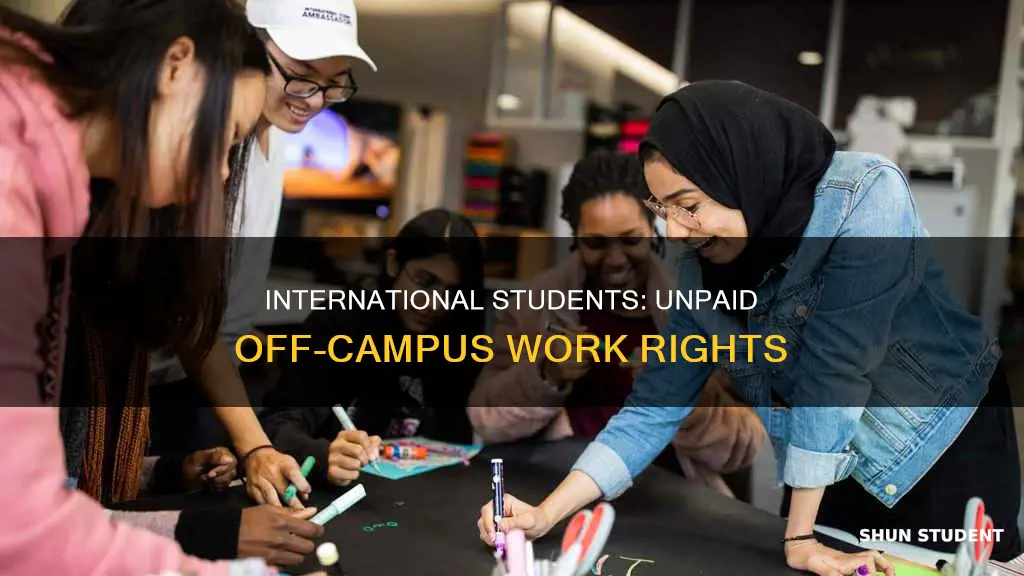 can international students work off campus unpaid