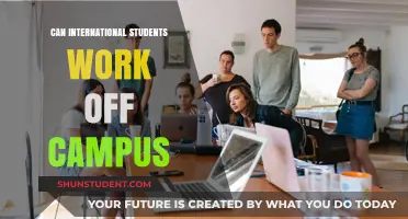 Working Off-Campus: Options for International Students