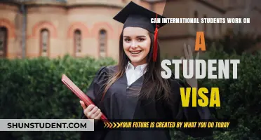 Working on a Student Visa: What International Students Need to Know
