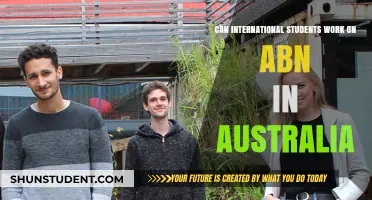 Working in Australia as an International Student: ABN Options
