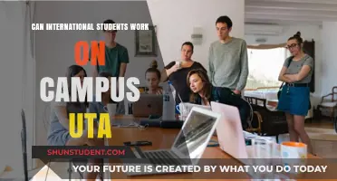 Working On-Campus: Options for UTA International Students