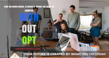 International Students: Work Off-Campus Without OPT