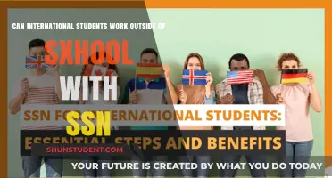 Working Without an SSN: International Students' Guide