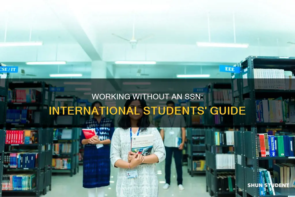 can international students work outside of sxhool with ssn