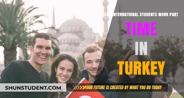 Working Part-Time in Turkey as an International Student