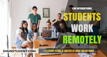 Working Remotely: International Students' Options