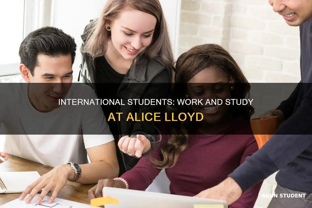 can international students work study in alice lloyd